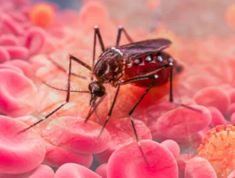 dengue symptoms in bangalore